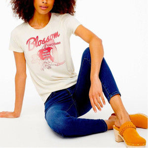 J. Crew Collector Tee Graphic Short Sleeve Shirt Top NEW Apple Fall Print NWT